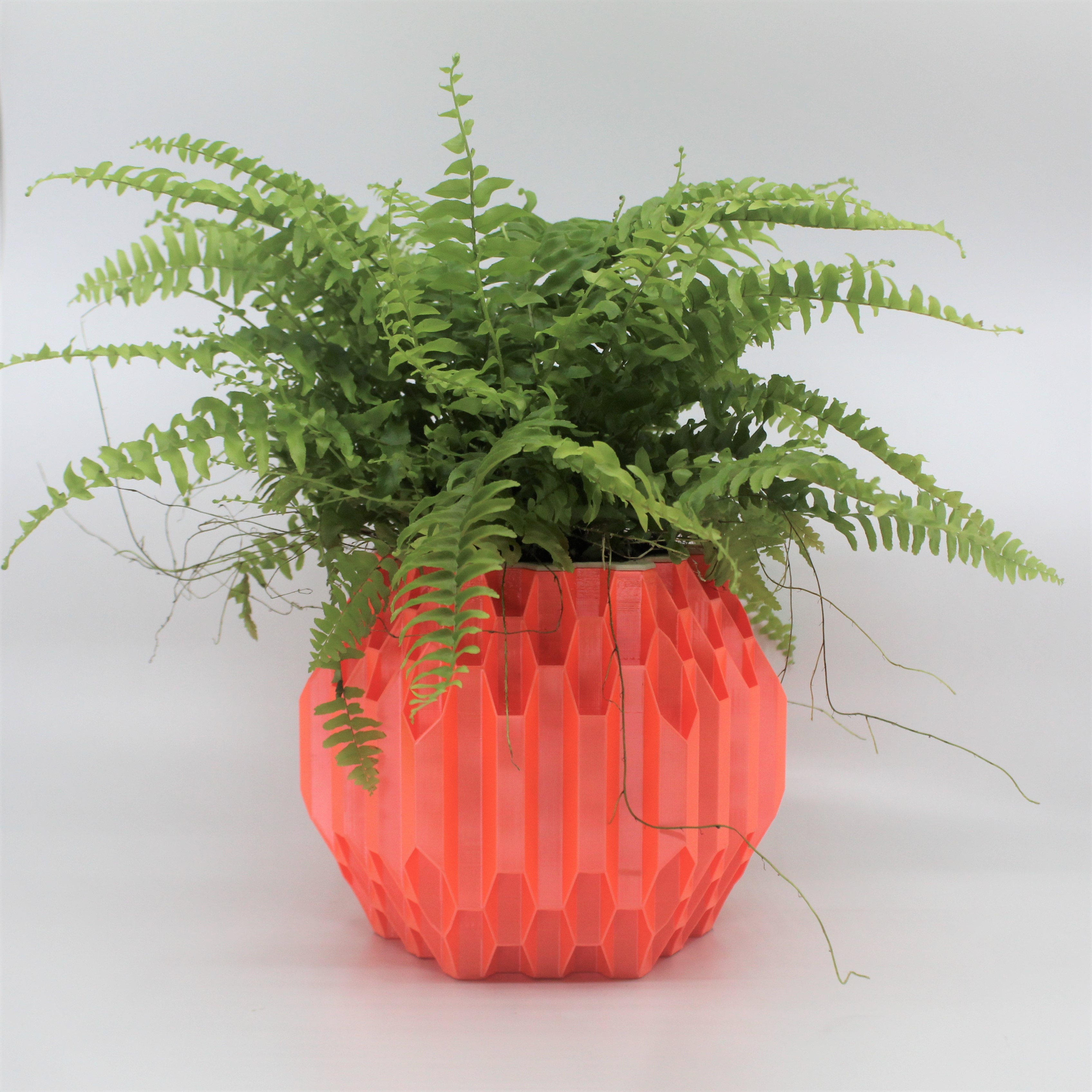 Hex Ov Self Watering Planter