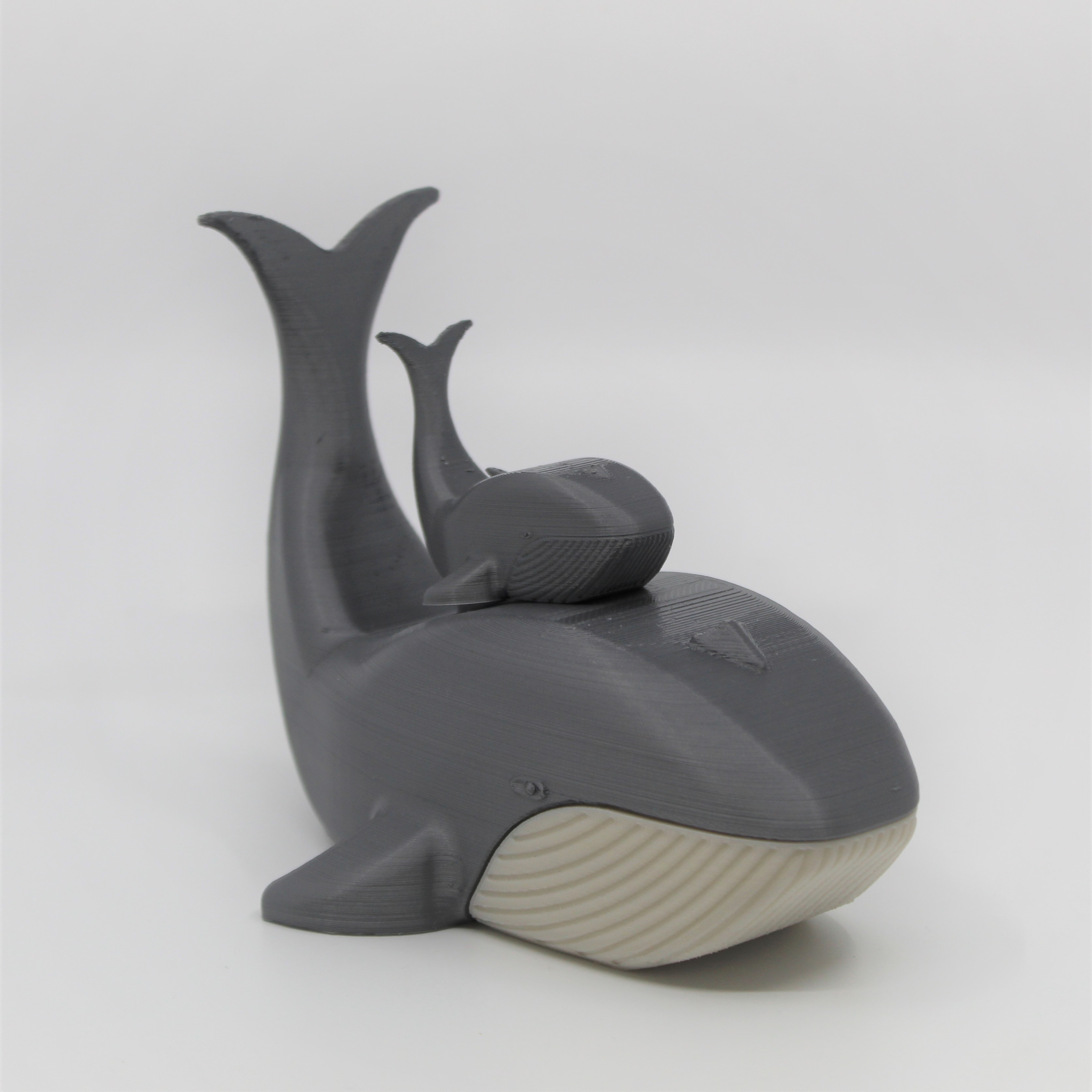 Mama Whale + Baby
