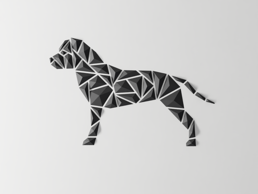 Dog - Staffy-Amstaff